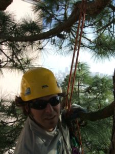 Jesse pruning a tree in Buena Vista Park, San Francisco