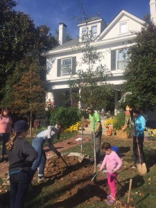 People planting trees