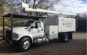Town Branch Tree Experts, Inc truck