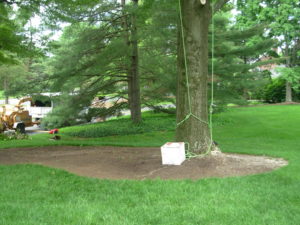 Large white basket aiding in low impact tree care.