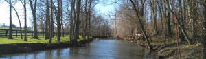Creek dividing a small forest and Kentucky farmland
