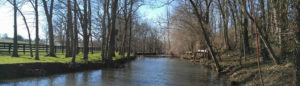 Creek dividing a small forest and Kentucky farmland