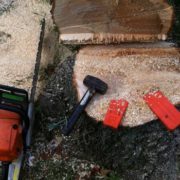 TREE REMOVAL and CUTTING SERVICE