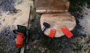 Tools used to remove a large tree
