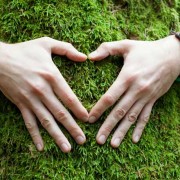 Hands wrapped around a mossy tree. The hands are in the shape of a heart