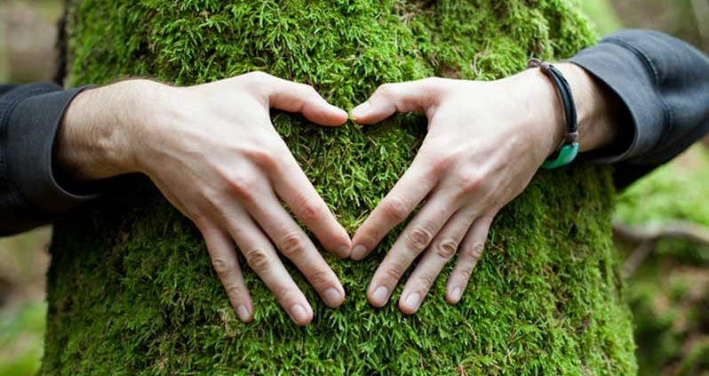 Hands wrapped around a mossy tree. The hands are in the shape of a heart