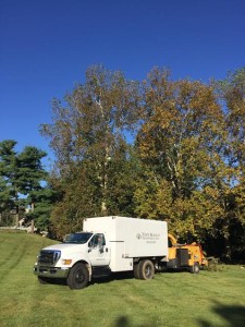 Town Branch Tree Inc, truck