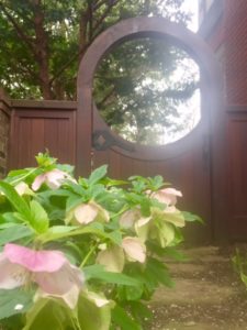 Beautiful close shot of a pink flower in front of a wooden, circular gate.