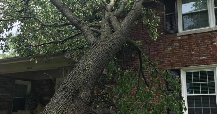 A tree that has fallen onto a brick home after a storm