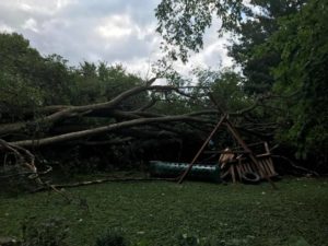 A tree that has fallen onto and crushed a swingset