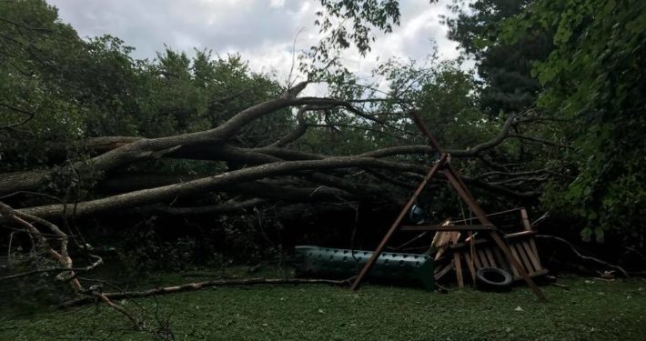 A tree that has fallen onto and crushed a swingset