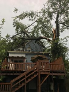 A tree that has fallen onto the roof of a home, going through into the kitchen