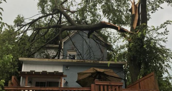 A tree that has fallen onto the roof of a home, going through into the kitchen